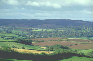 ottervalleyandcommon.jpg
